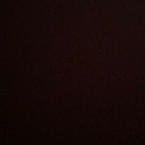 Meet your Posher, Liz